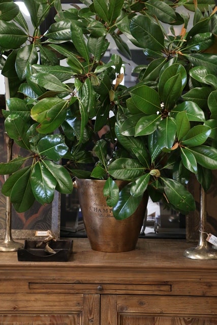 Montpellier Brass Style Wine Bucket