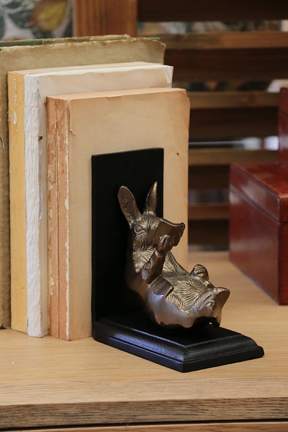 Rabbit Bookends Set in Brass Finish