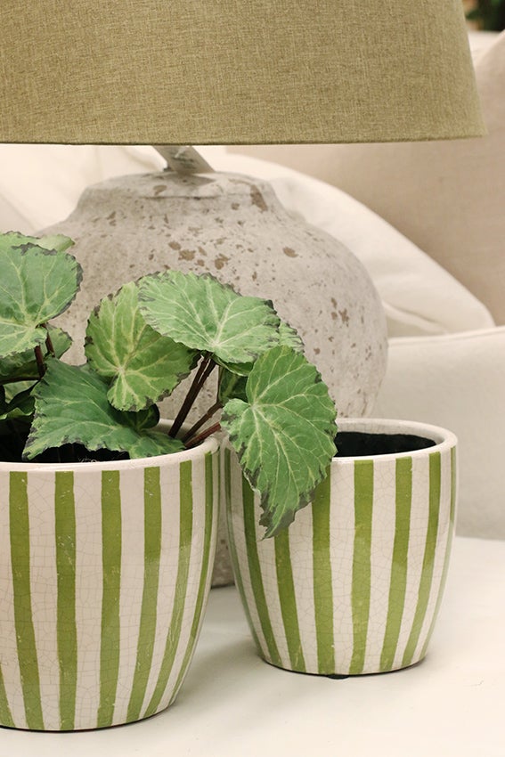 Lime Stripe Planter Medium