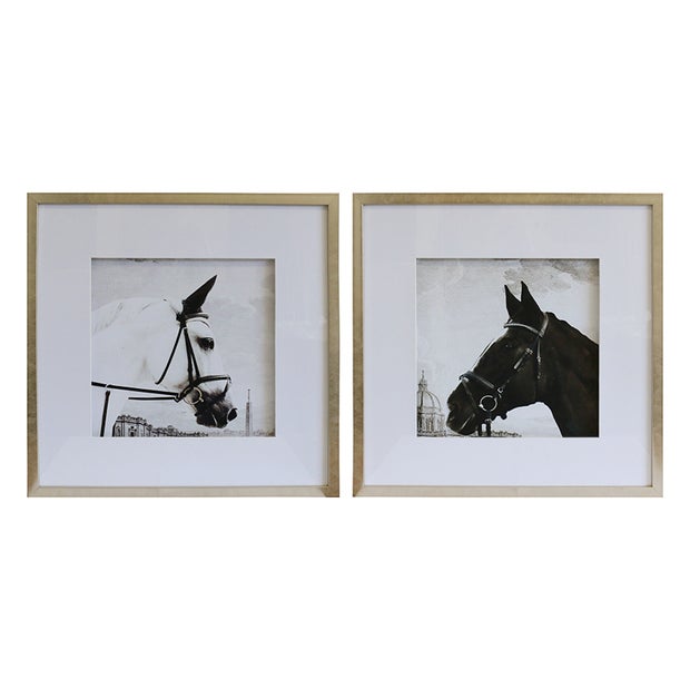 Nostalgic Black & White Stallion Prints