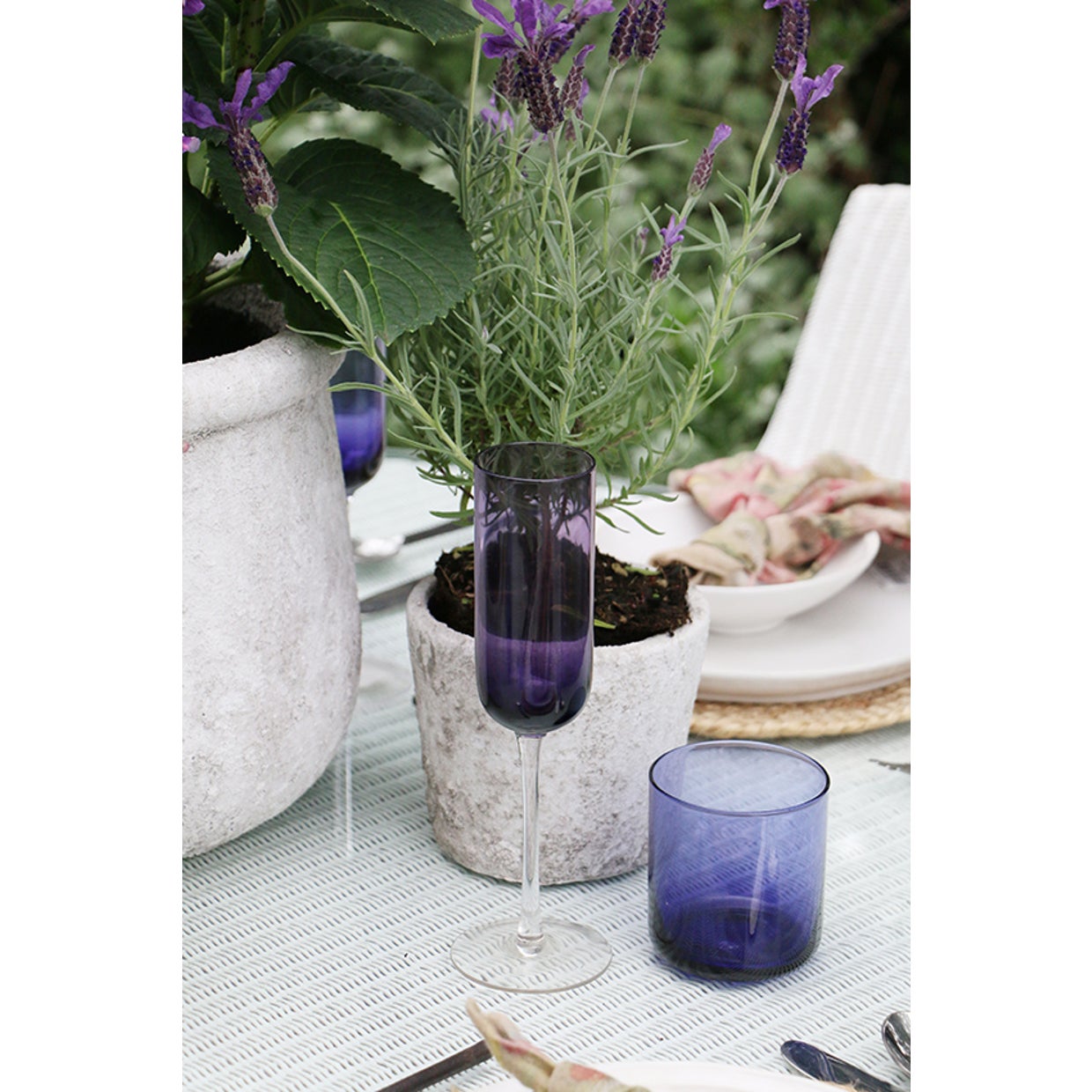 VIOLETTA CHAMPAGNE GLASS AUTUM SPECIAL