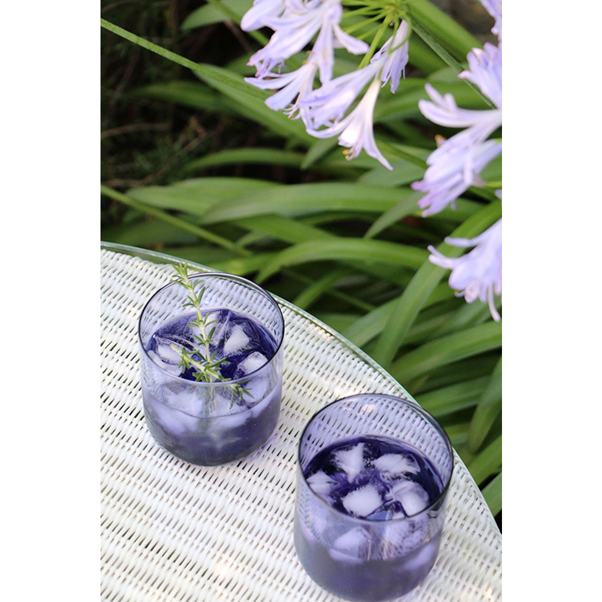 VIOLETTA TUMBLER GLASS SPECIAL