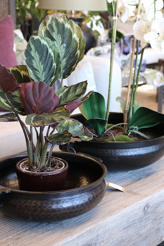 Marbella Bowls Set of 2 in Black Antique