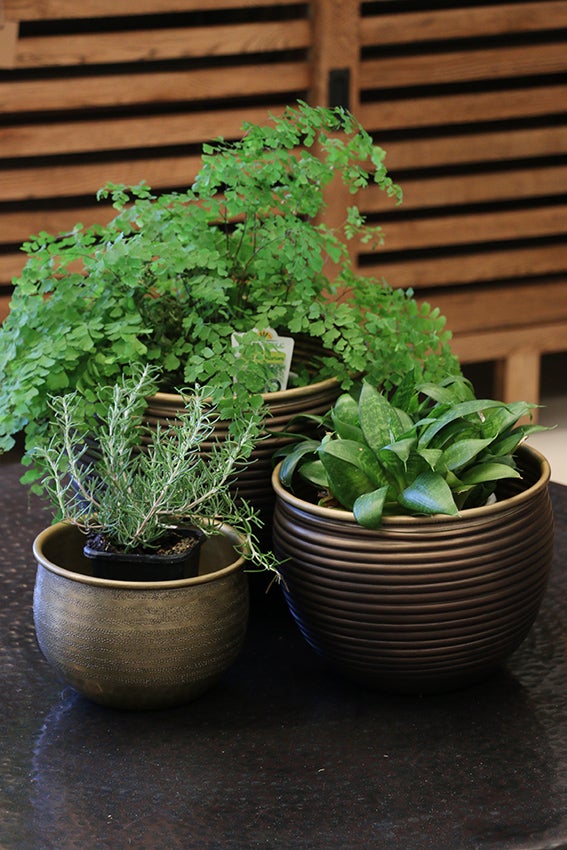 Egyptian Style Urns Set of 3