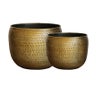  Ravello Etched Planters in Antique Brass Finish