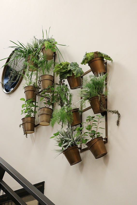 Wall Hanging Planter Rack- 6 Pots
